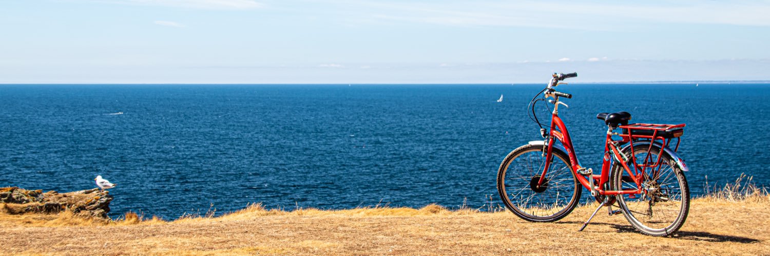 laviaux's profile banner image
