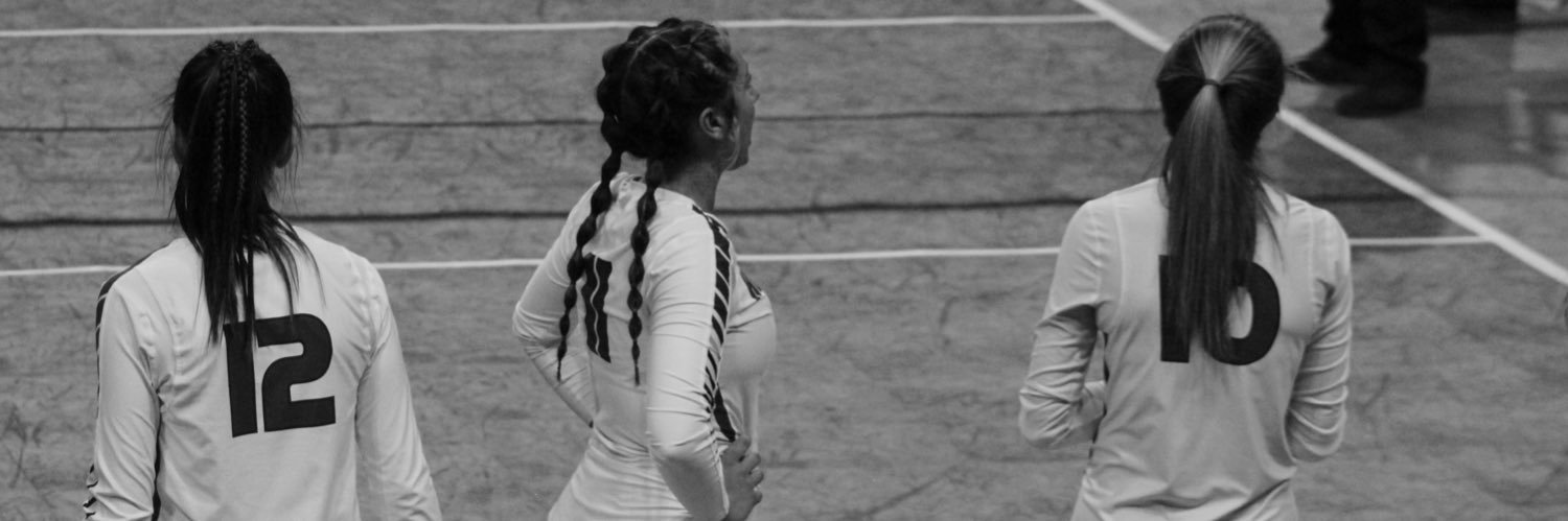 Mara Schmidt banner