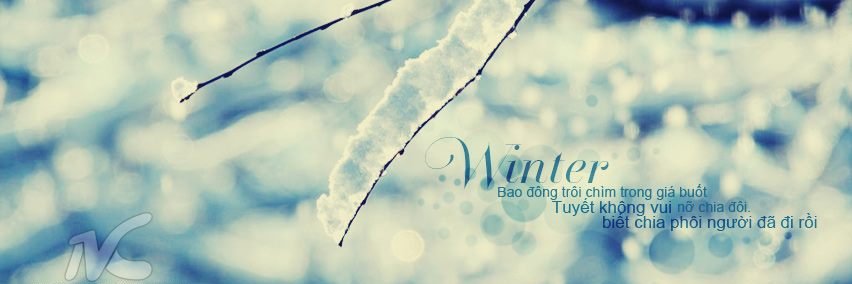 moimaytinh's profile banner image