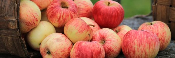 minds_nb Profile Banner