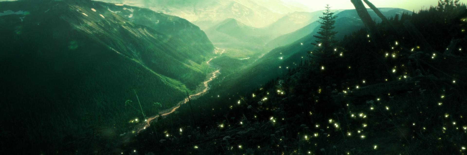 FediInsect's profile banner image