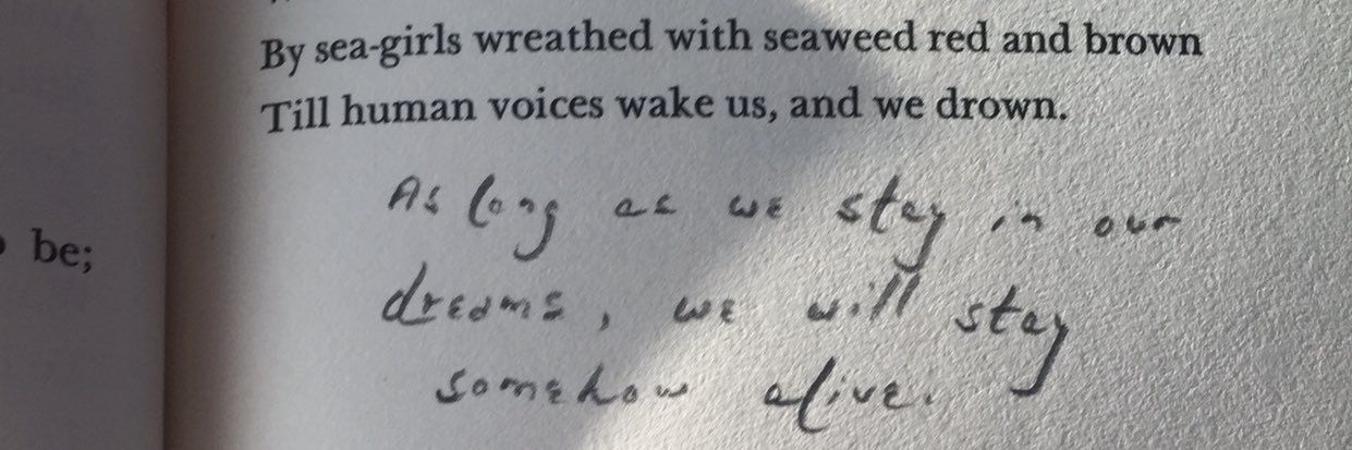 Maria Davidson banner