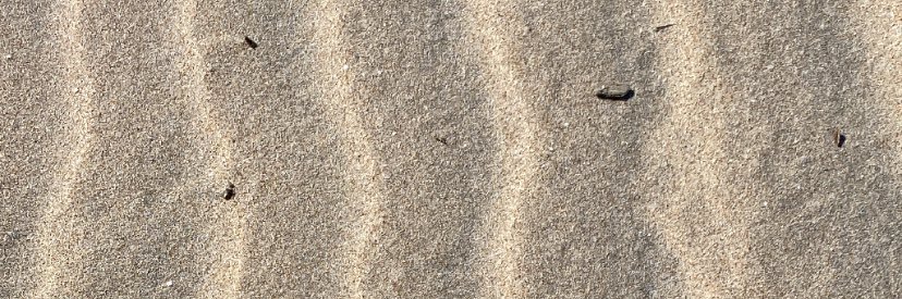 Josegomariz18's profile banner image