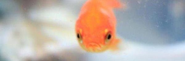 MunchyManCba's profile banner image
