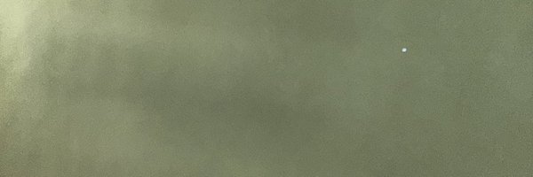 LaurieSpoon Profile Banner