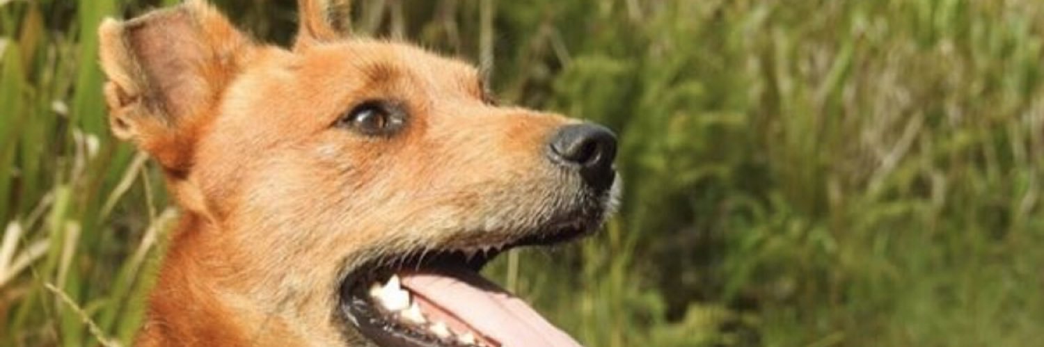 austeeze's profile banner image