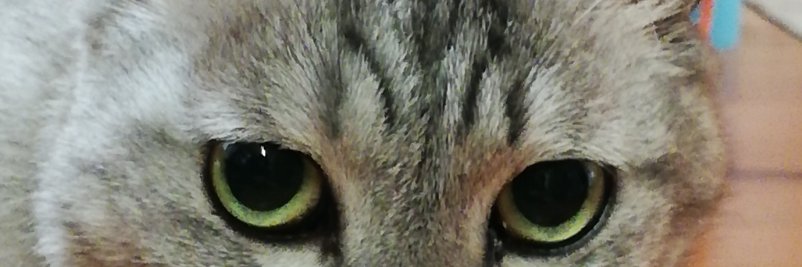 potolisk's profile banner image