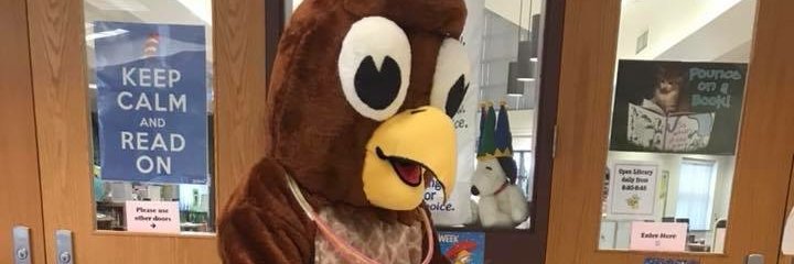 The IF/DA Hawk banner