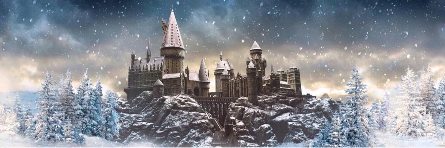 The Yule Ball banner