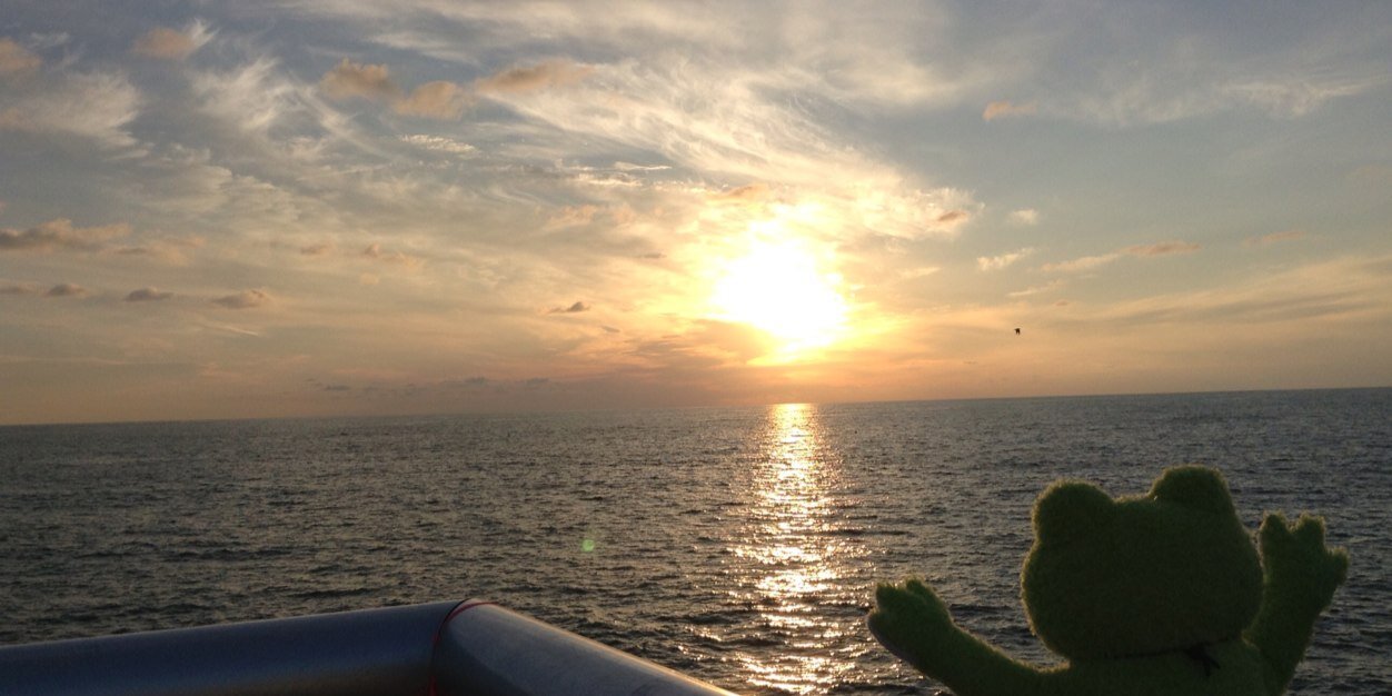 HornSummer's profile banner image