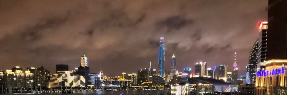 シロシビン banner