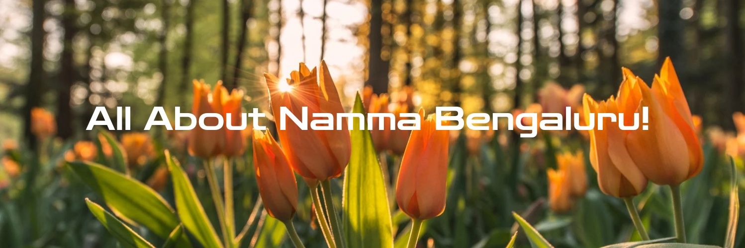 All About Namma Bengaluru 🇮🇳 banner