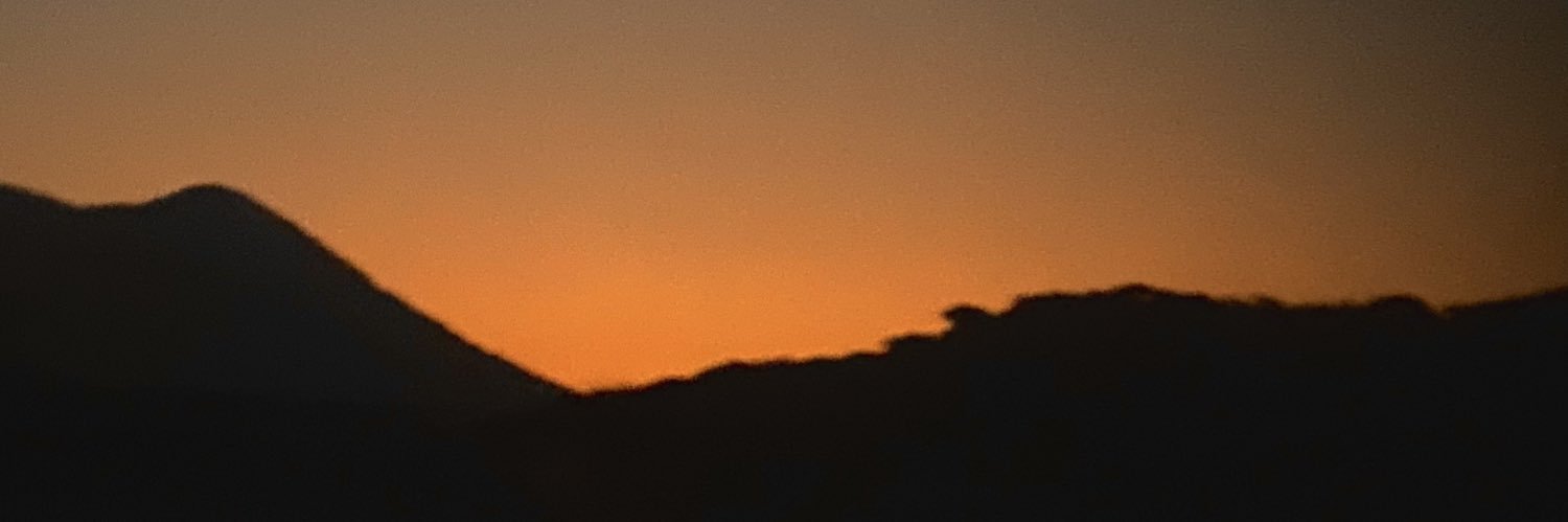WhoisPolet's profile banner image