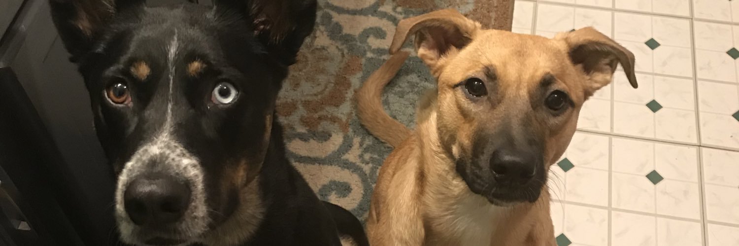 TSchmidtHappens's profile banner image