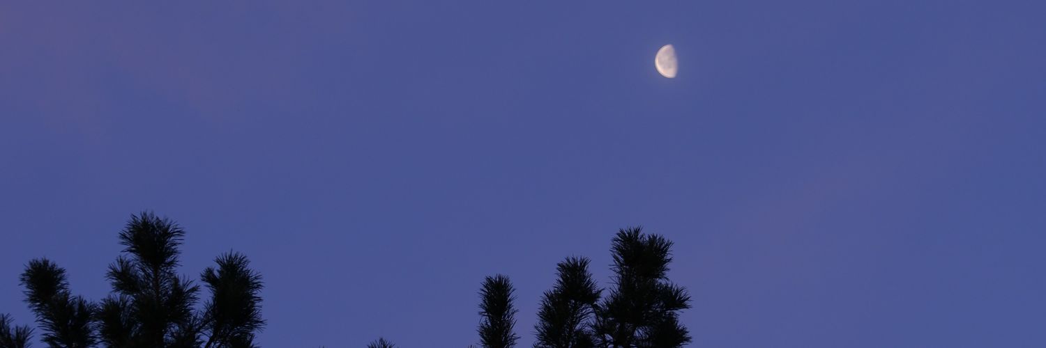 bademkii's profile banner image