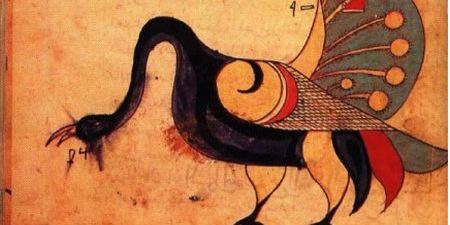 murattarkun's profile banner image