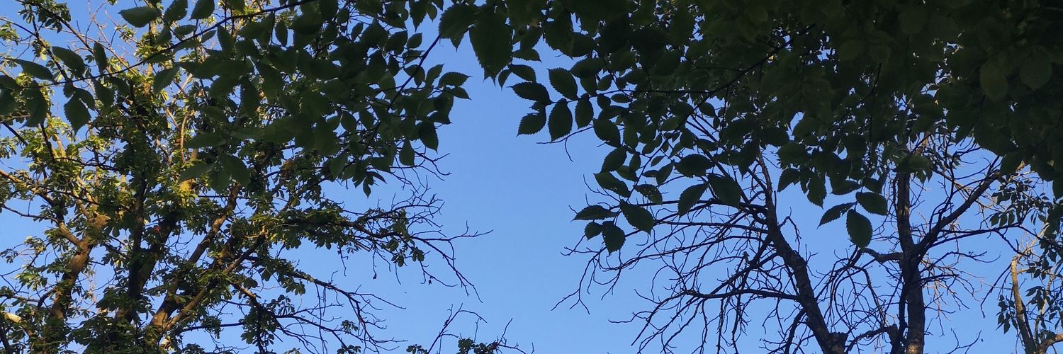 martighezzi's profile banner image