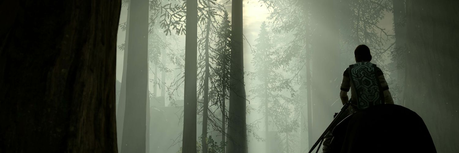 Brandon Robinson banner