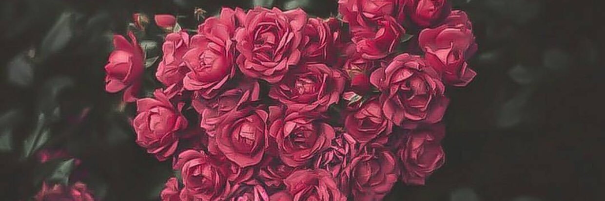 jilan1_'s profile banner image