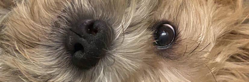 docinho_bs's profile banner image