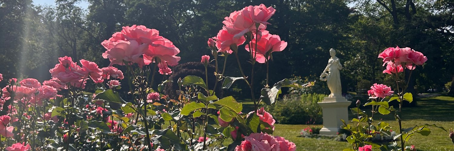 fine ham birds banner