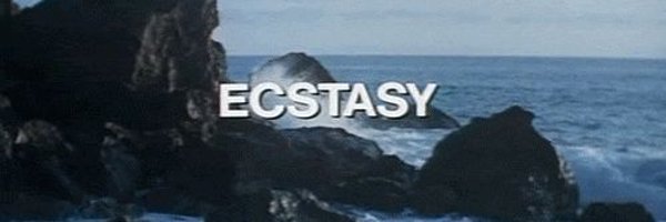 trashboy_______ Profile Banner