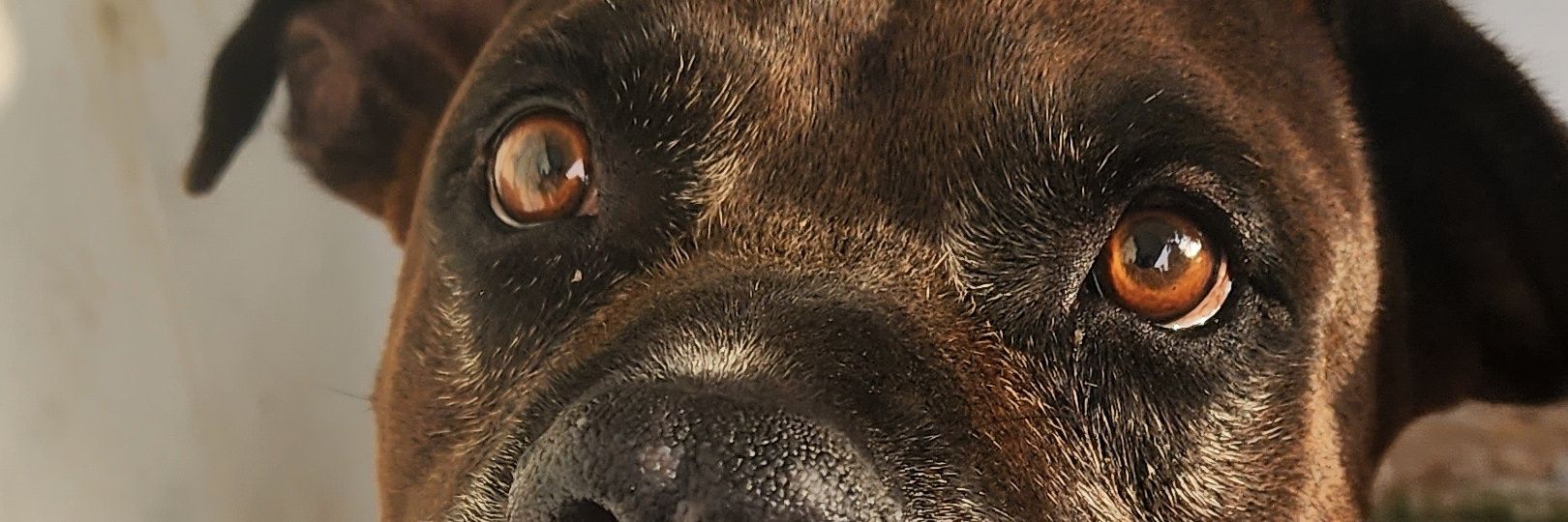 Natynata97's profile banner image