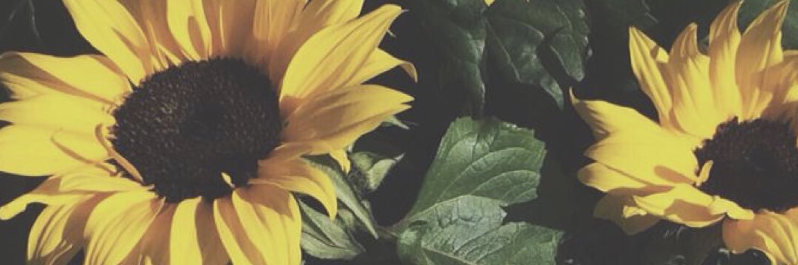 Tomi Starcher banner