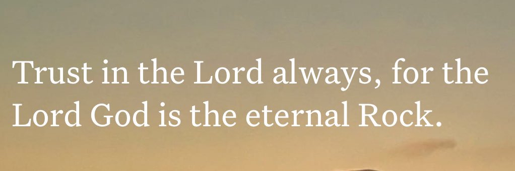 Chef👨🏻‍🍳 banner