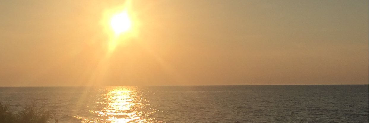 JoeJwoodruff's profile banner image