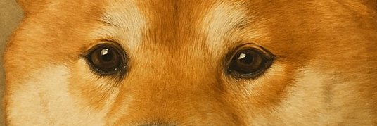 oh_zon_1st's profile banner image