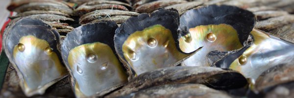 FisheriesOf Profile Banner