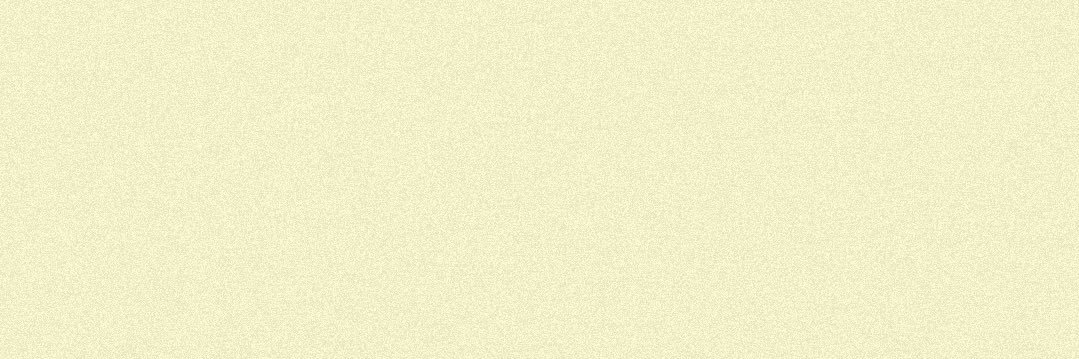 Salt Company MSU banner