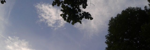 Cécile CHATELLIER banner