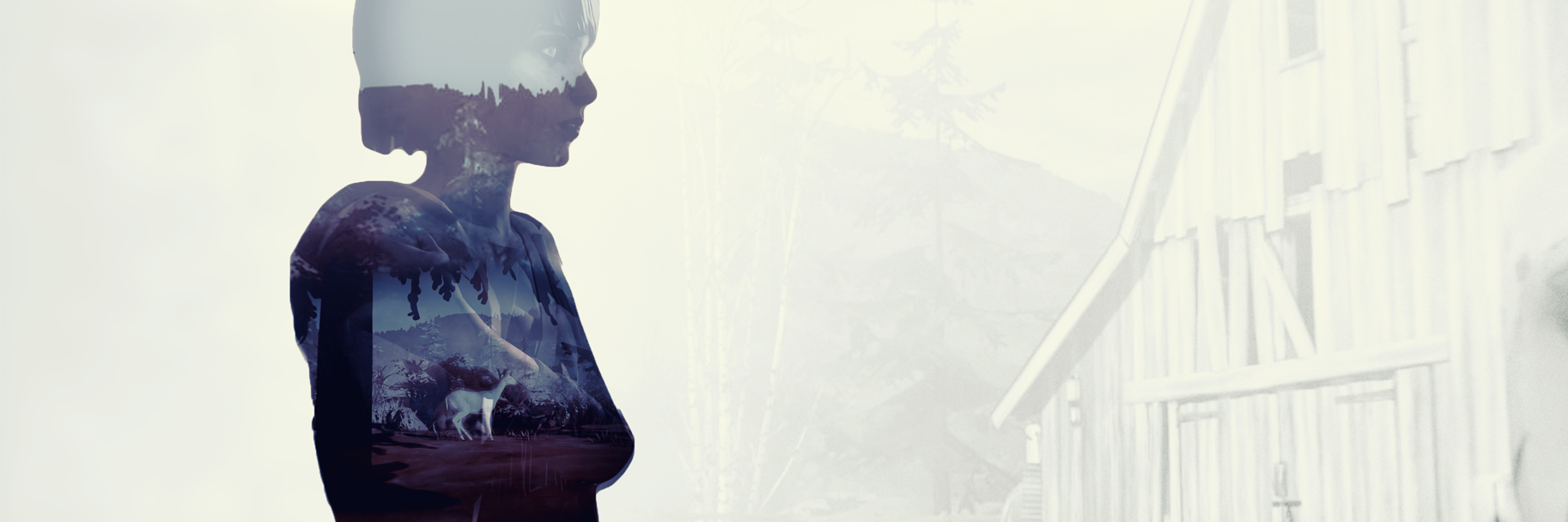 gae260's profile banner image