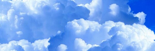 transferdoc Profile Banner