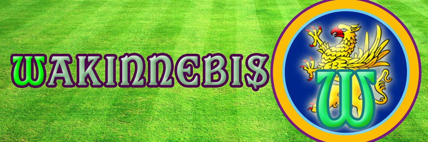 Wakinnebis's profile banner image