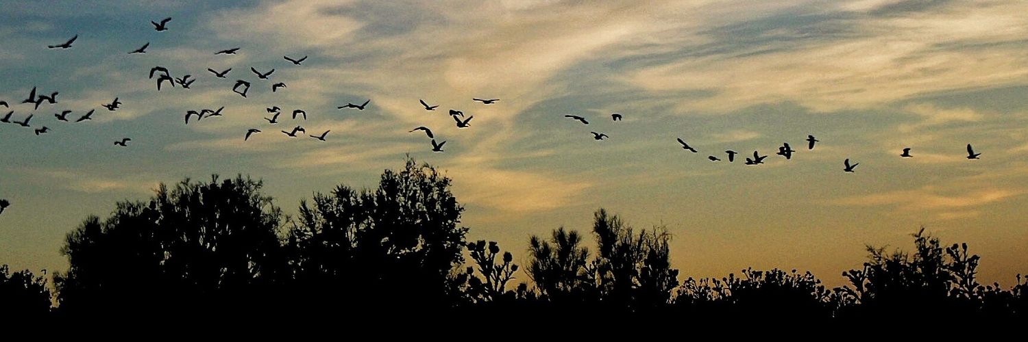 Juanruro's profile banner image