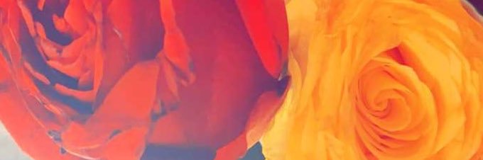 nada_a_5's profile banner image
