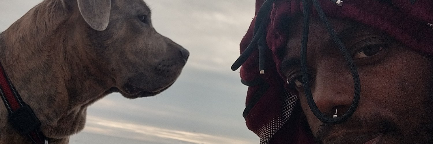 sir4lyf's profile banner image