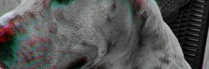 maikander's profile banner image