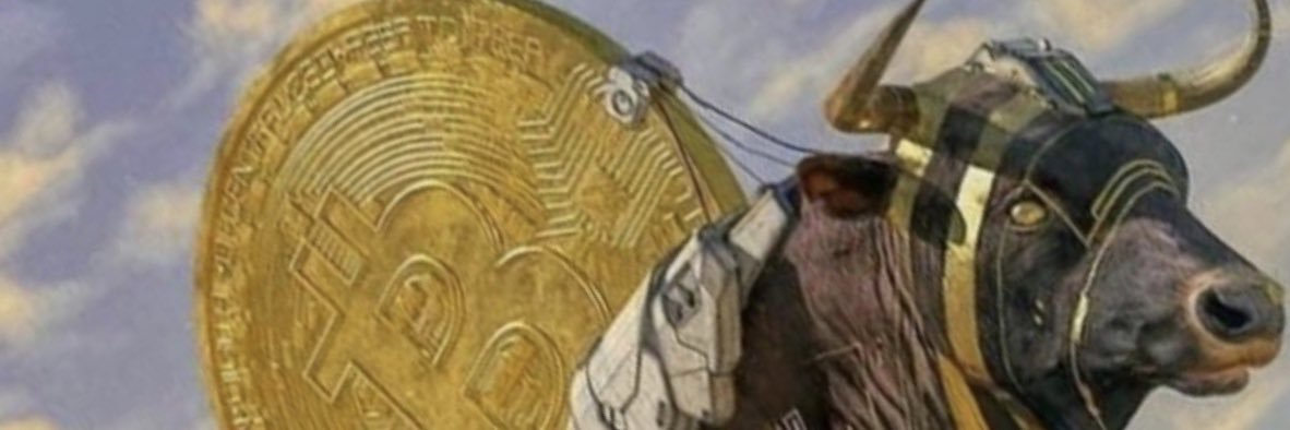 Ser_Cey's profile banner image
