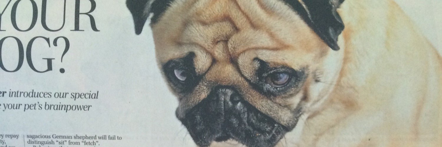 Graham Sutherland banner