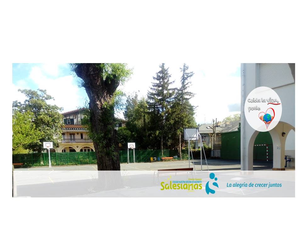 Colegio Nazareth Salesianas banner