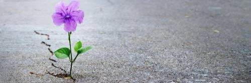 👀AbajodelAgua💜®️ banner