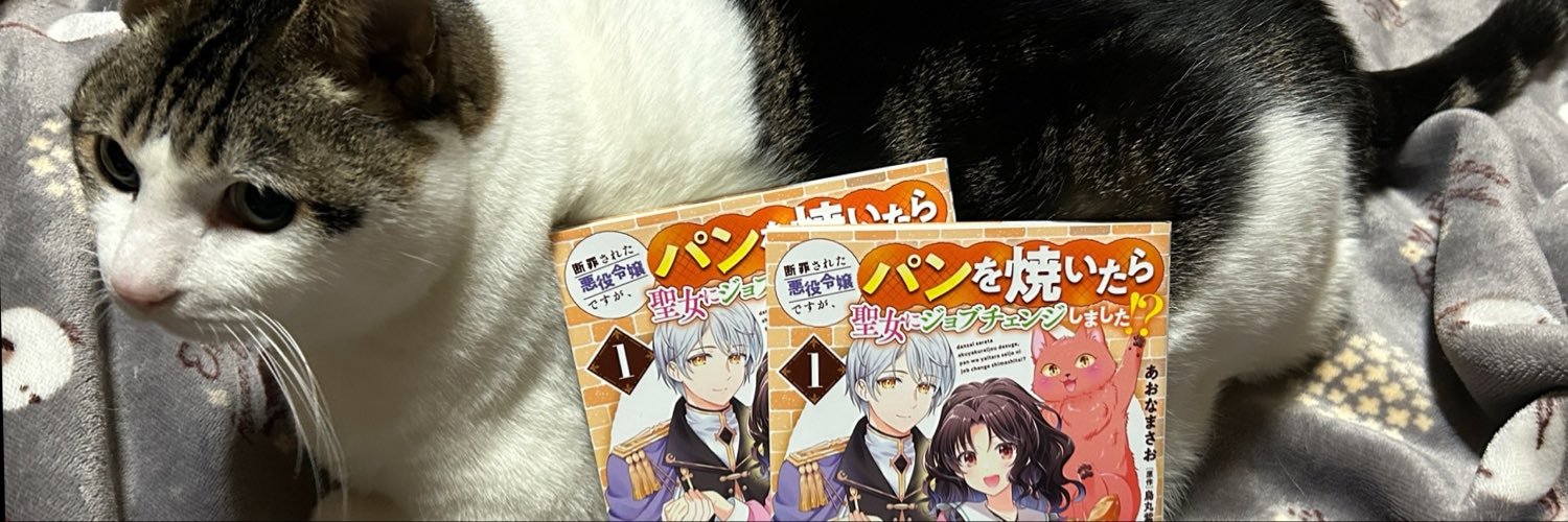 aonamasao's profile banner image