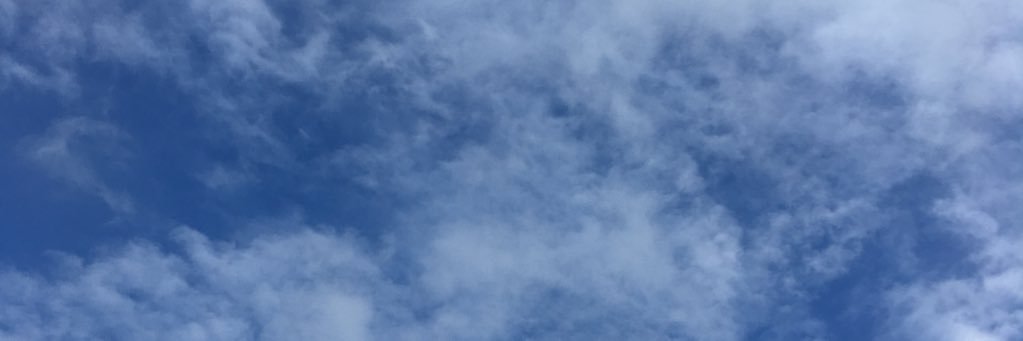 dena_jansen's profile banner image