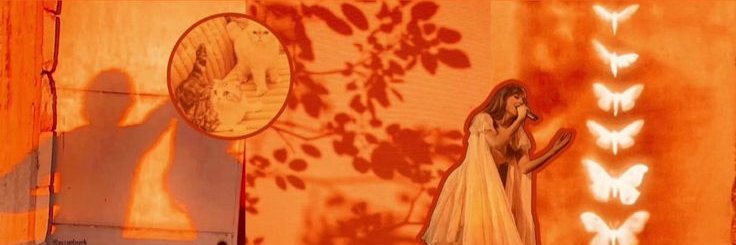 karolsander's profile banner image