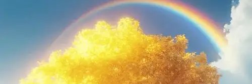 vicky vette 2 banner