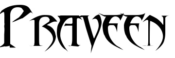 Praveen प्रवीण's banner